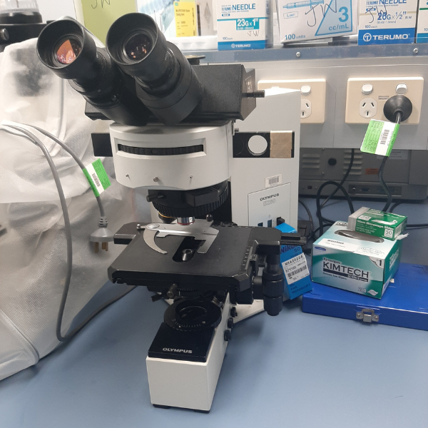 Olympus BX60 - Griffith University