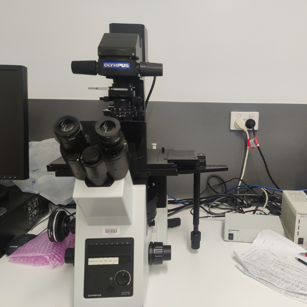 Microscope Ix73 Olympus IX73 - Griffith University