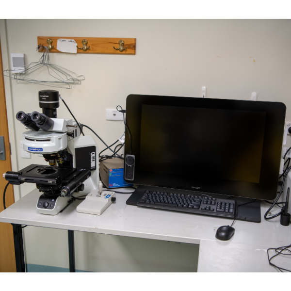 Osteometry Set OsteoMetrics OsteoMeasure - Griffith University